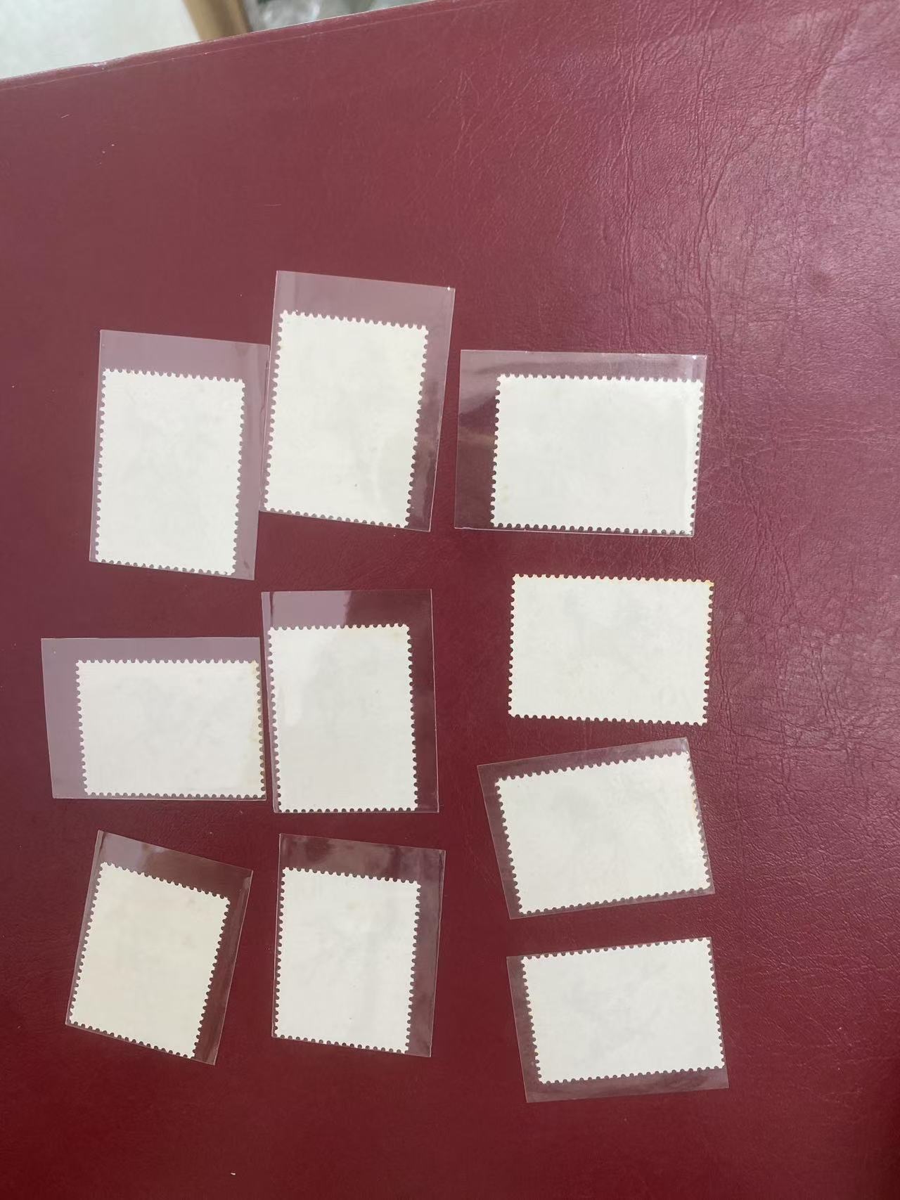 dvubb 图片点击可在新窗口打开查看