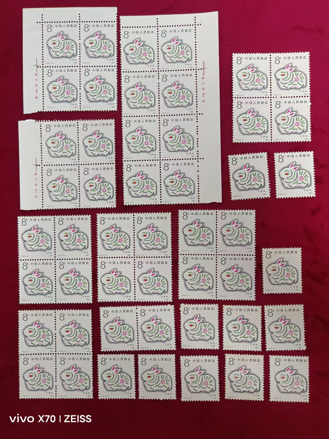 dvubb 图片点击可在新窗口打开查看