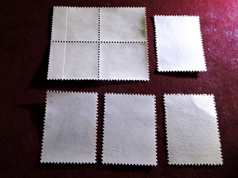 dvubb 图片点击可在新窗口打开查看