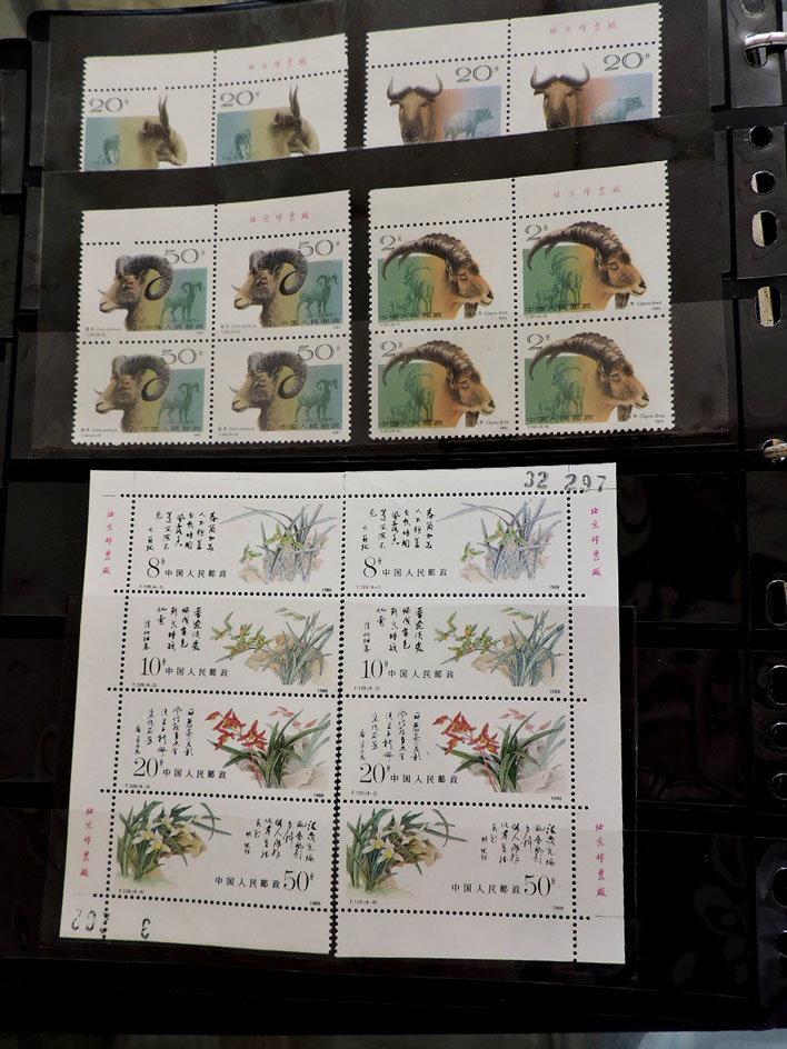 dvubb 图片点击可在新窗口打开查看