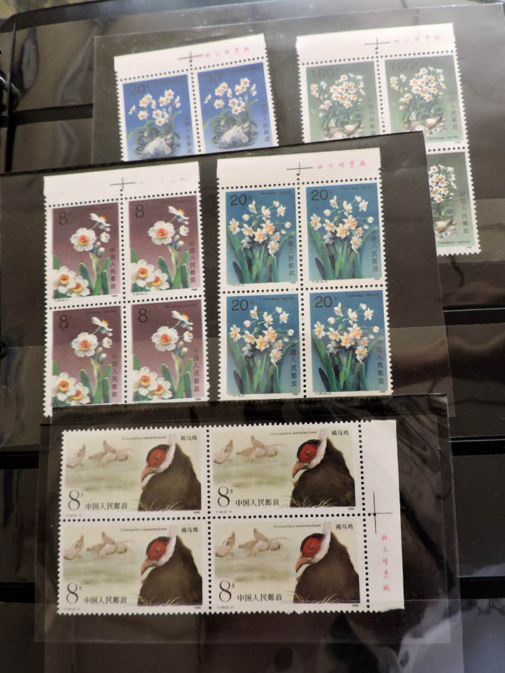 dvubb 图片点击可在新窗口打开查看