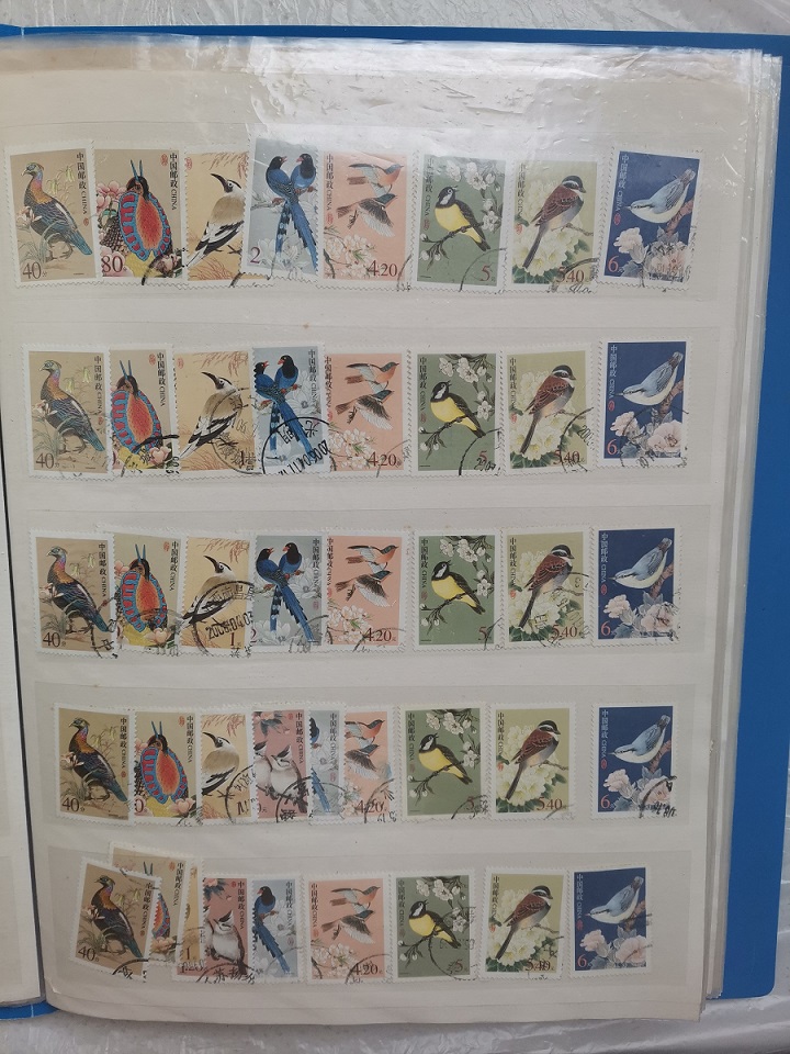 dvubb 图片点击可在新窗口打开查看